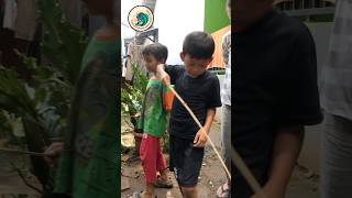 Download lagu MANCING MANIA MANTAB #viralvideo #mancing #lucu #mancingmancingan #viralshorts mp3 Download lagu MANCING MANIA MANTAB #viralvideo #mancing #lucu #mancingmancingan #viralshorts mp3