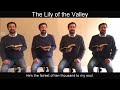 The Lily of the Valley