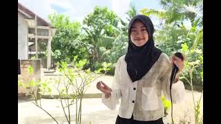 Download lagu JADILAH DIVA YA NENG AZIZAH, MANGU AZIZAH (COVER) mp3