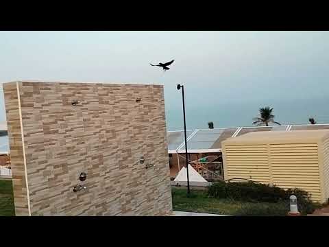 Long beach campground resort #dubai #trip #holiday #beach #fun