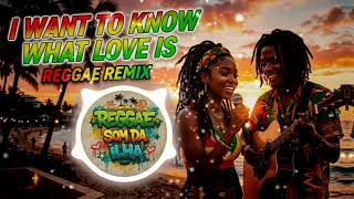 I WANT TO KNOW WHAT LOVE IS , REGGAE REMIX SOM DA ILHA , REGGAE LOVE SONGS  , REGGAE INTERNACIONAL