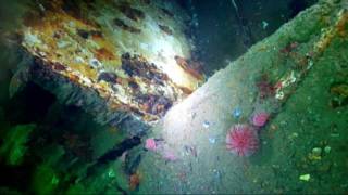 preview picture of video 'Vreck dive on MS Hamo av Ivar Amundsen .mpg'