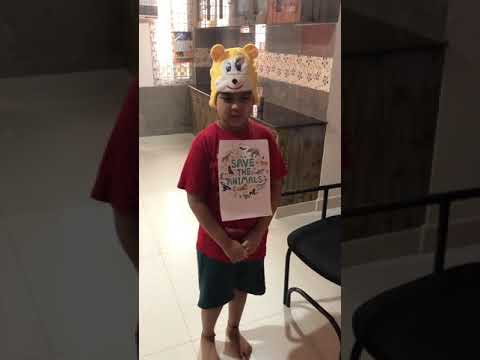 Save the Animals poem by A Nag Saiansh grade 2 kid