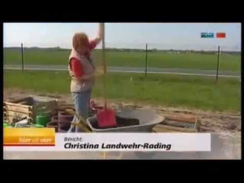 Ein Heim fuer Tiere Dessau und Umgebung e.V. bei MDR hier ab 4