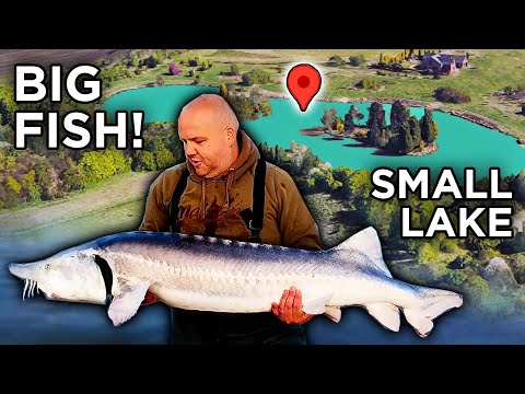 Giant Fish Caught from a Small Lake!