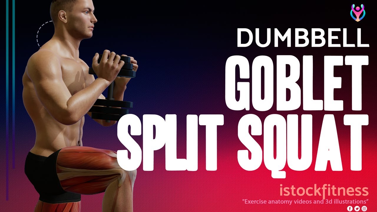 Dumbbell Goblet Split Squat Workout. Bodybuilding Exercise Anatomy 3D Animation Video Stock Footage.
