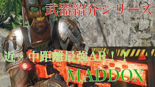 【CoD BO4】武器紹介シリーズ　近・中距離最強AR！！MADDOX