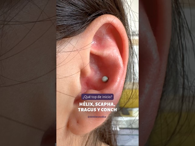 Vídeo relacionado con LOLIAS 20Pcs Pendientes Acero Inoxidable Piercing Mujer Oreja Acero Quirúrgico Tragus Anneal Oreille Cartilago Conch Helix Plata