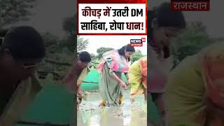 Download lagu Bihar DM Viral Video : कीचड़ में उतरी DM साहिबा, रोपा धान! Shorts| N18S | Bihar Viral Video|Yt Viral mp3 Download lagu Bihar DM Viral Video : कीचड़ में उतरी DM साहिबा, रोपा धान! Shorts| N18S | Bihar Viral Video|Yt Viral mp3