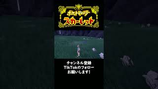 満月イベントにてかいちょうの証付き色違いピッピをゲットする男　【ポケモンSV】