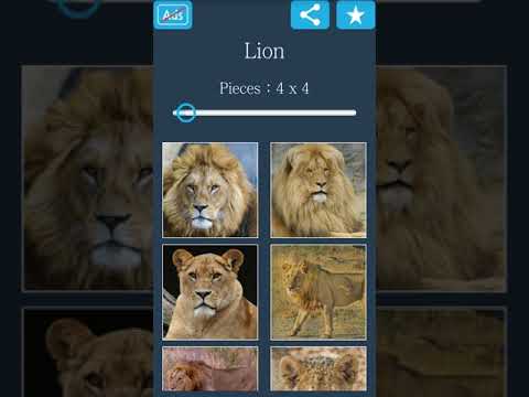 Jigsaw Puzzle: Lion Video