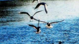 Il sorriso di Atlantide & M.