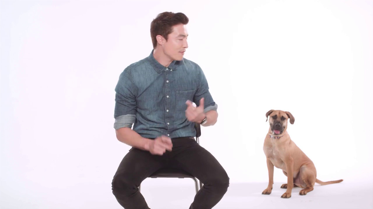 Humane Society
