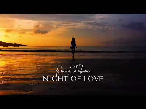 Kamil Fabian - Night of love |HOUSE AI REMIX|