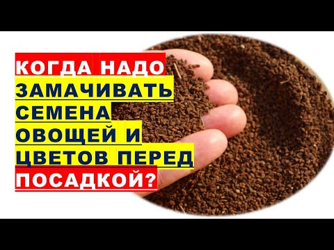 , title : 'Когда надо проращивать семена овощей и цветов перед посадкой?'