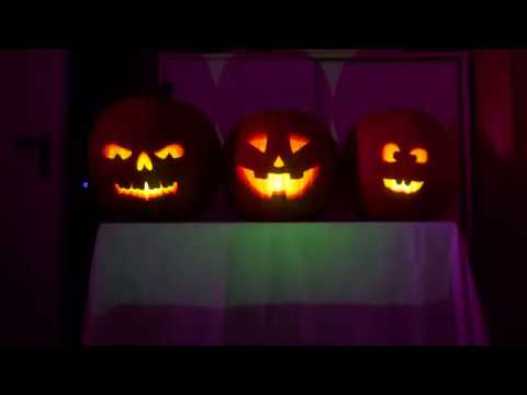 Halloween 2019 - Private kleine Animatronic und Video Show - Deutsch, German