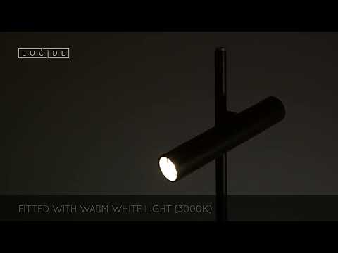 Lucide 79781/05/30 - LED Dimmable floor lamp PHILON LED/4,5W/230V