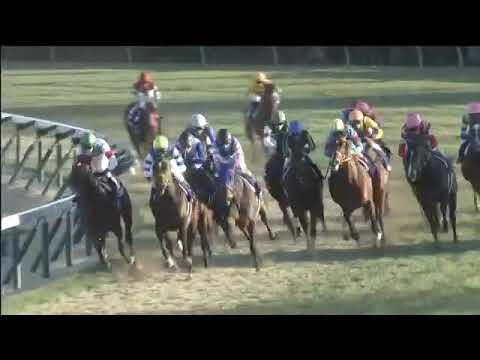 2017.12.28 Hopeful Stakes (JPN) - Time Flyer