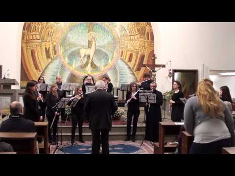 Trieste Flute Ensemble - G. Blasco, Conductor - Offermans : "Jungle Dance"