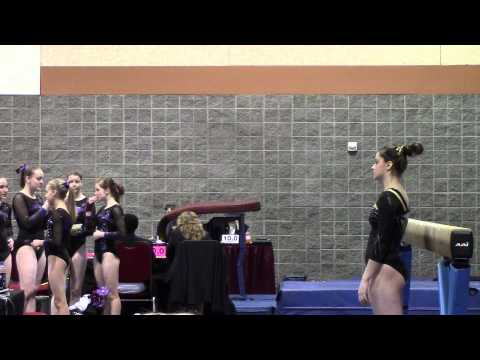 Bailey Brown State Gymnastics Meet 2014 Level 9 Vault