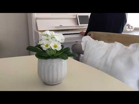 Calming Music - 81 - 🇳🇱 Adriaen Valerius  - Nederlandtsche Gedenck Clanck - Wie dat sich selfs......