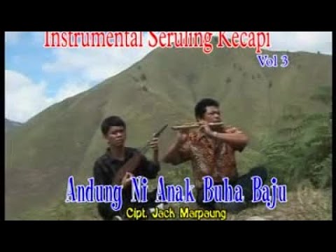 Posther Sihotang - Andung Anak Buha Baju ft. Roy P. Sihotang (Official Musik Video)