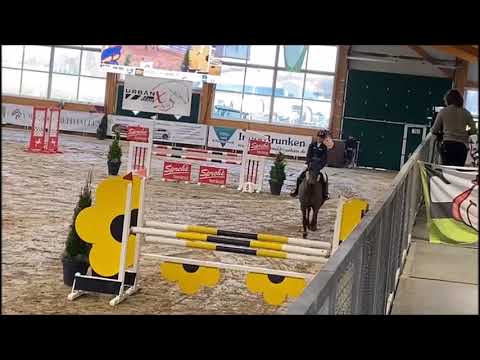 CATHLEEN 7j. v. Cantolar - Chasseur VB 15.000,- Euro