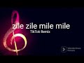 Zile Zile Mile Mile TikTok Remix Song