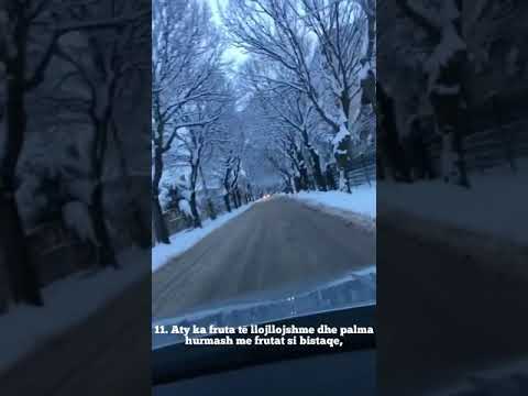 Recitim qe kënaq zemrat - Idris Ebker