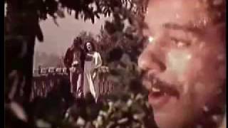 SKYLARK DAVID FOSTER WILDFLOWER