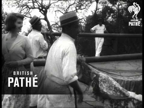 Madeira-Schlitten (1952)