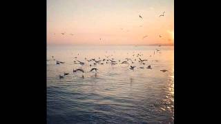 Jack Johnson &quot;It&#39;s All Understood&quot; &amp; Ocean Sunset Lyrics