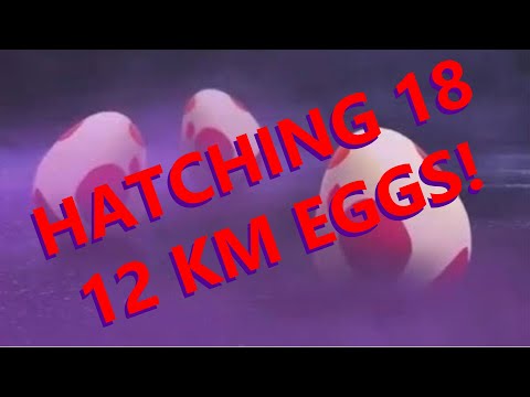 SCHIUDO 18 UOVA DA 12 KM!!