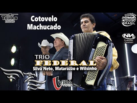 Cotovelo Machucado - TRIO FEDERAL (Silva Neto, Matarazzo e Wilsinho - Estúdio Águia Music)