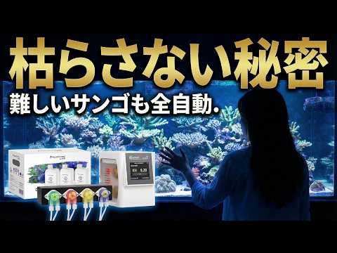 KHU解説動画