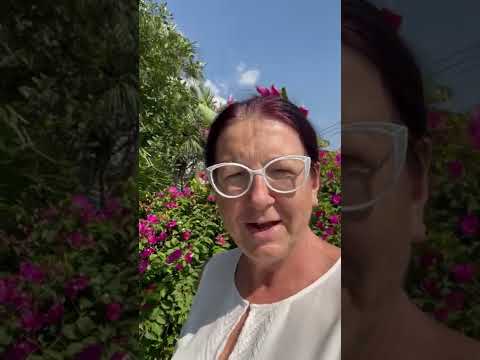 Video 1