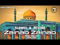 Zainab Zainab || Farsi\English Noha || 2024/1446 || Hajj Muhammad Taleb || Slowed & Reverb