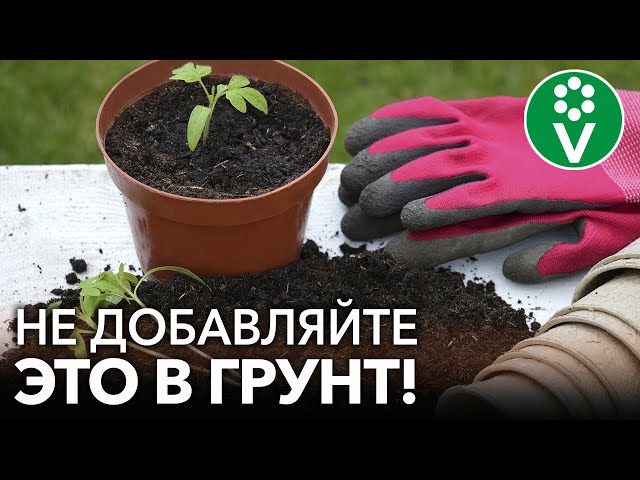 ЧТО НЕЛЬЗЯ ДОБАВЛЯТЬ В ГРУНТ ДЛЯ РАССАДЫ НИ В КОЕМ СЛУЧАЕ, а что обязательно стоит добавить?