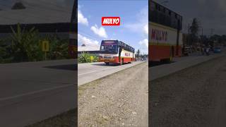 Download lagu Bus Mulyo Dari Arah Purwokerto Menuju Yogyakarta #shortvideo #bus #busmania mp3