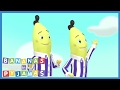 Bernard Learns To Dance Bananas In Pyjamas Official