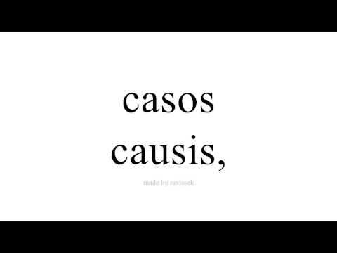 Disce Spanish   causis,