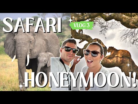 Serengeti National Park! HUNTING Lions & HUGE Elephant Herd! TANZANIA VLOG 3🦁🐘
