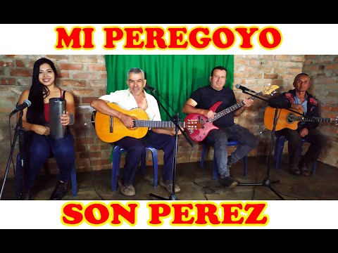 MI PEREGOYO - SON PEREZ