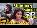 Strawberry Kannae Song Minsara Kanavu Tamil Movie Video Songs 4K Prabhu Deva Kajol