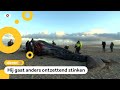 Aangespoelde potvis in stukken gezaagd voor onderzoek