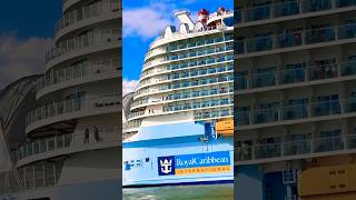 Utopia of the Seas 🛳️ #travel #travelvlog #subscribe #cruiseship #cruise #vacation #shorts #short