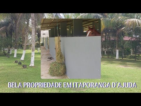 ÓTIMA PROPRIEDADE À VENDA EM ITAPORANGA D'ÁJUDA/SE!