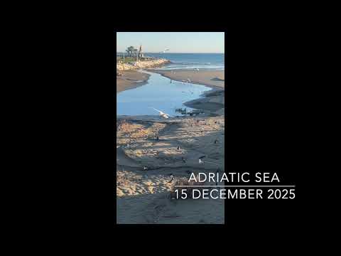 🌊 Adriatic Sea Sounds - Sea, Wind, Seagulls - San Benedetto Del Tronto (AP), Marche, Italy -  HD