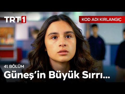 Aslanlar'dan Büyük Haber! 📰 | Kod Adı Kırlangıç 41. Bölüm @kodadikirlangic