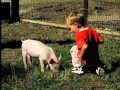 Baby Genius Favorite Nursey Rhymes